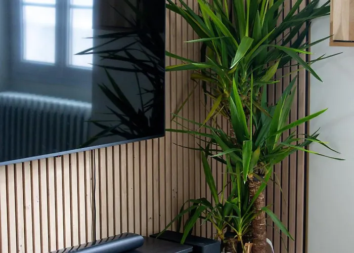 Appartement Le Point #hypercentre #2